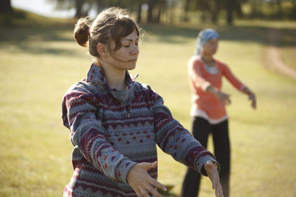 kung fu Qigong Odense fællesskab