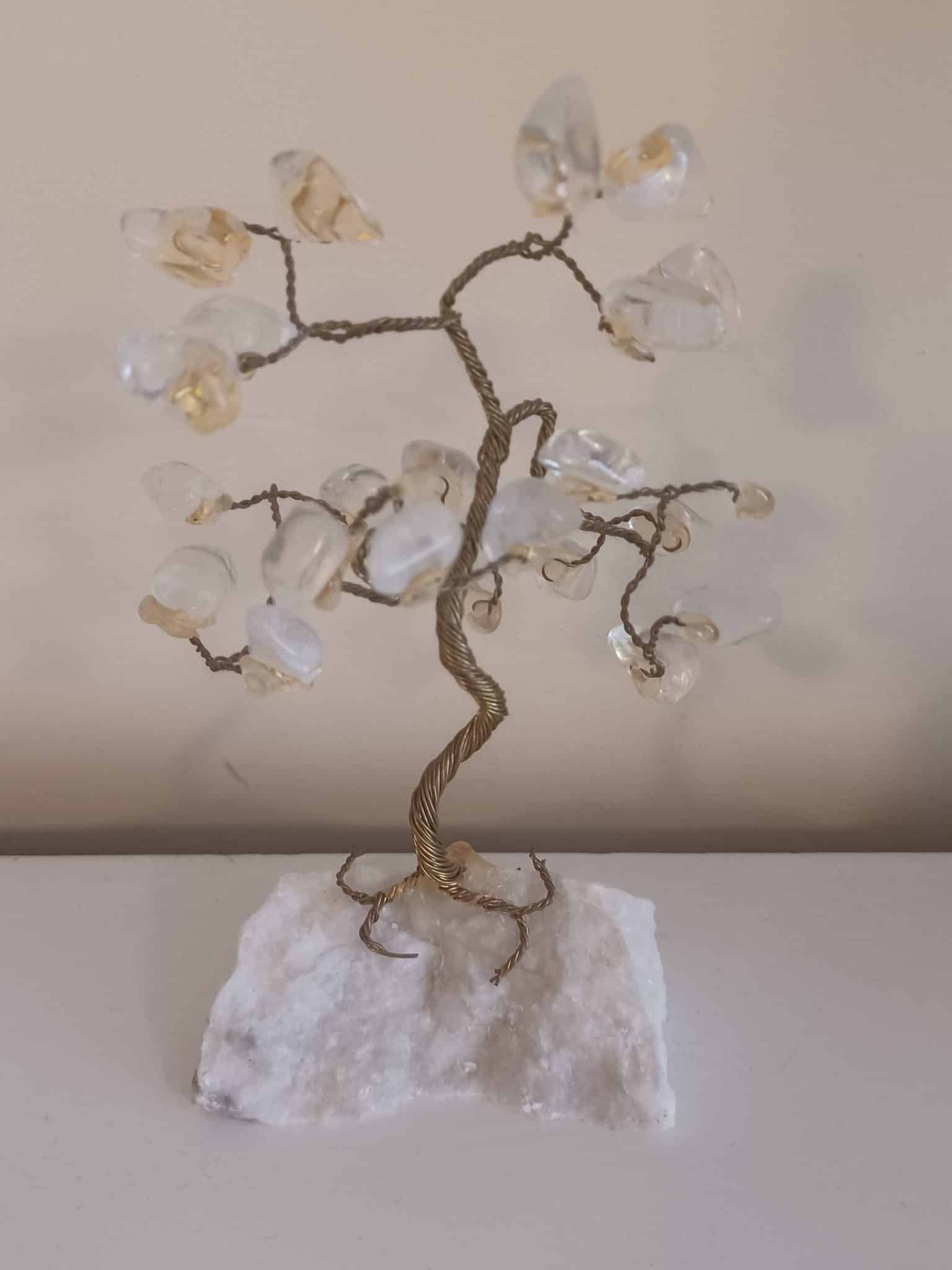 Qigong Kung Fu Odense Traditionel Kinesisk medicinsk