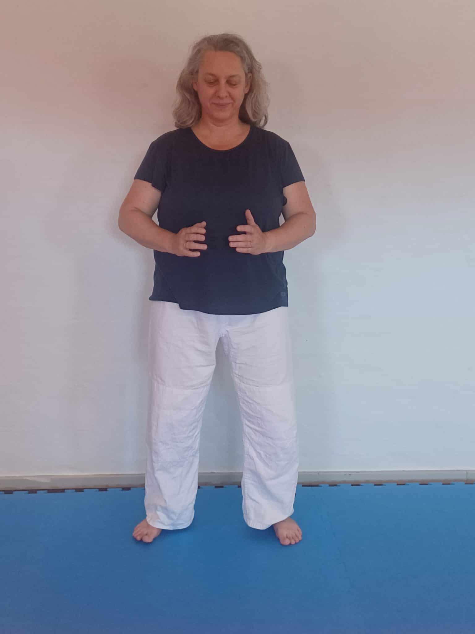 Qigong Kung Fu Odense Traditionel Kinesisk medicinsk