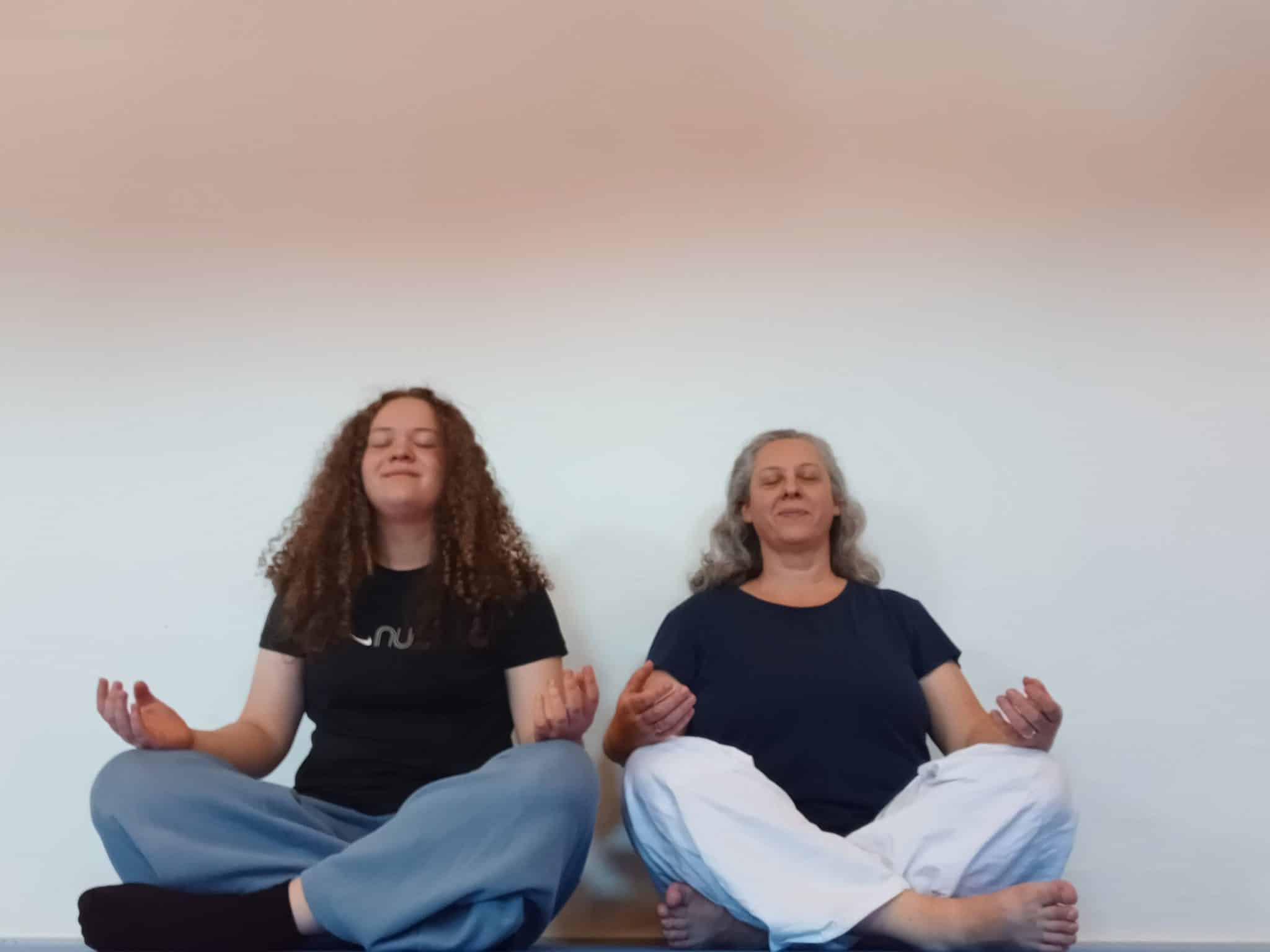 Qigong Kung Fu Odense Traditionel Kinesisk medicinsk