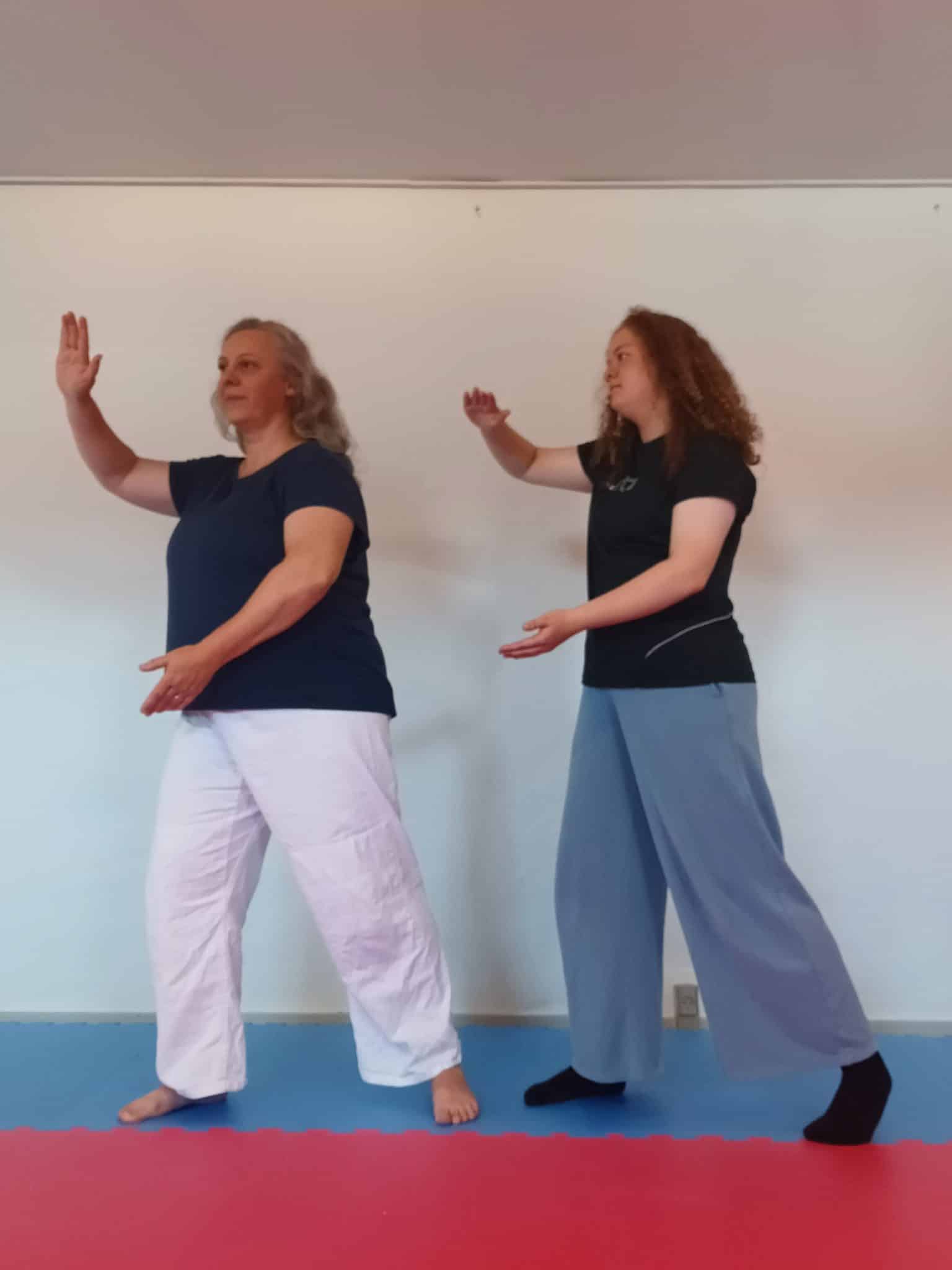 Qigong Kung Fu Odense Traditionel Kinesisk medicinsk